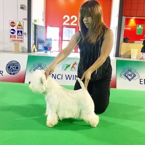 leo-milano